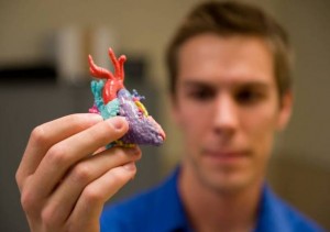 Heart Model with Justin Ryan