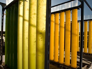 Visit the Arizona Center for Algae Technology and Innovation (AzCATI) at Arizona State University’s Polytechnic campus in Mesa during Innovation Showcase on May 1. Photo credit Tom Story.