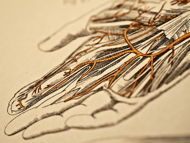 Project aims for prosthetic that senses like real hand