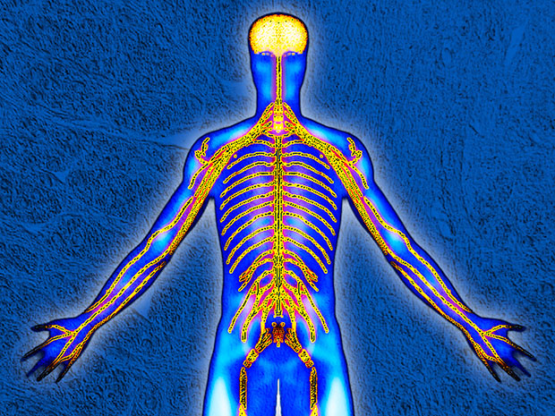 DARPA TO USE ELECTRICAL STIMULATION TO ENHANCE MILITARY TRAINING