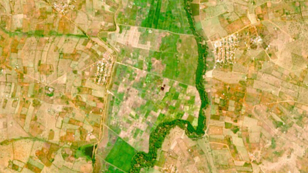 A satellite image showing crop fields in Nyagatare, Rwanda
