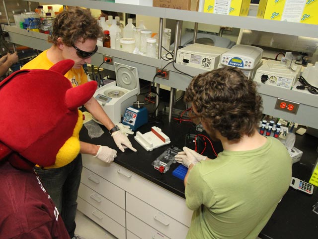 Undergraduate research