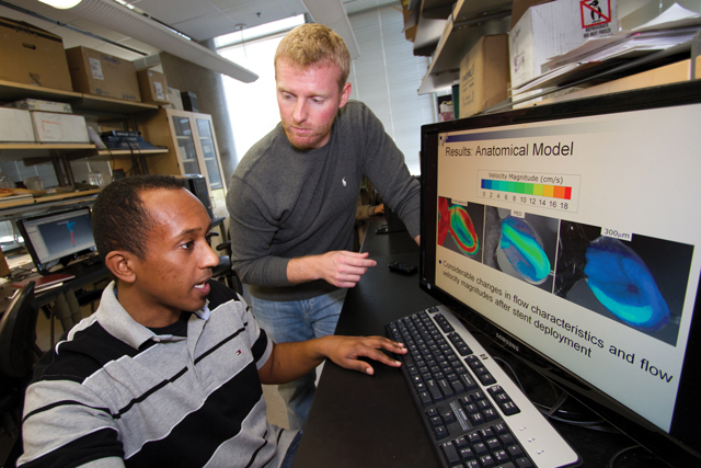 NSF CAREER awards advance research in biosensors, cardiovascular fluid dynamics