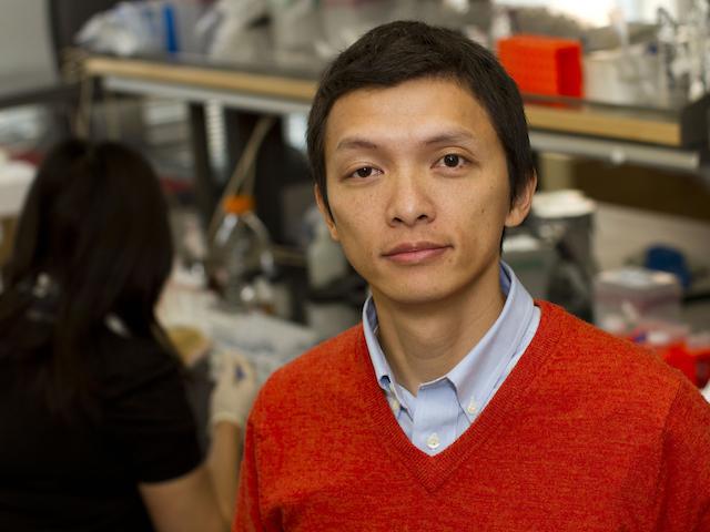 Biomedical engineer Xiao Wang is leading research to understand the fundamental nature of gene networks. Photographer: Jessica Hochreiter/ASU.