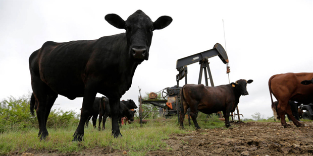 ARIZONA STATE UNIVERSITY STUDENTS, ADOT TEAM UP TO CREATE NEW TYPE OF CATTLE GUARD
