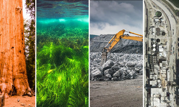 TO AVOID CLIMATE CATASTROPHE, WE’LL NEED TO REMOVE CO2 FROM THE AIR. HERE’S HOW
