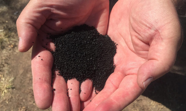 RUBBERIZED HIGHWAYS, ROOFING COOL URBAN HEAT ISLANDS IN ARIZONA