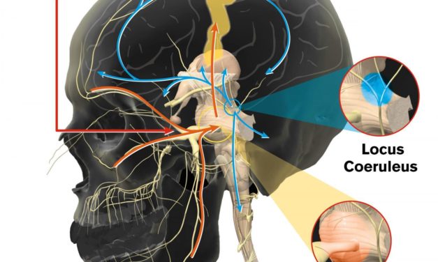 U.S. Department Of Defense Brain Study Seeks To Boost Learning In Soldiers