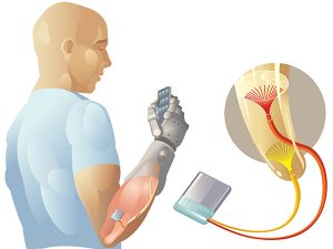 Neural prosthetic Feedback Loop Greger Lab