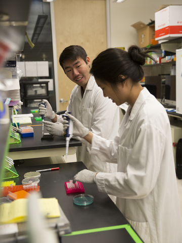 iGEM competition, synthetic biology competition, genetically engineered machines, bacterial communication systems, iGEM Jamboree