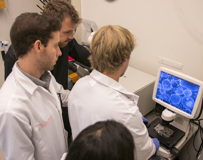 A group of students looking at a monitor. Caption: Graduates students from the Brafman Lab reviewing data. Photographer: Marco-Alexis Chaira/ASU
