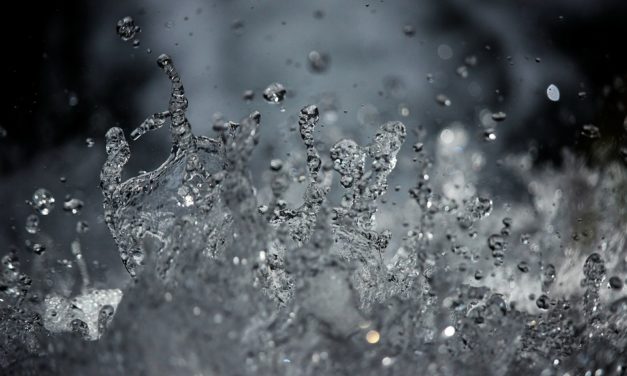 ASU sustainability scientist addresses silicon valley’s ‘raw water’ craze