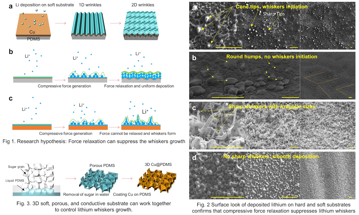 Graphic that shows dendrite mitigation for lithium batteries. Caption: