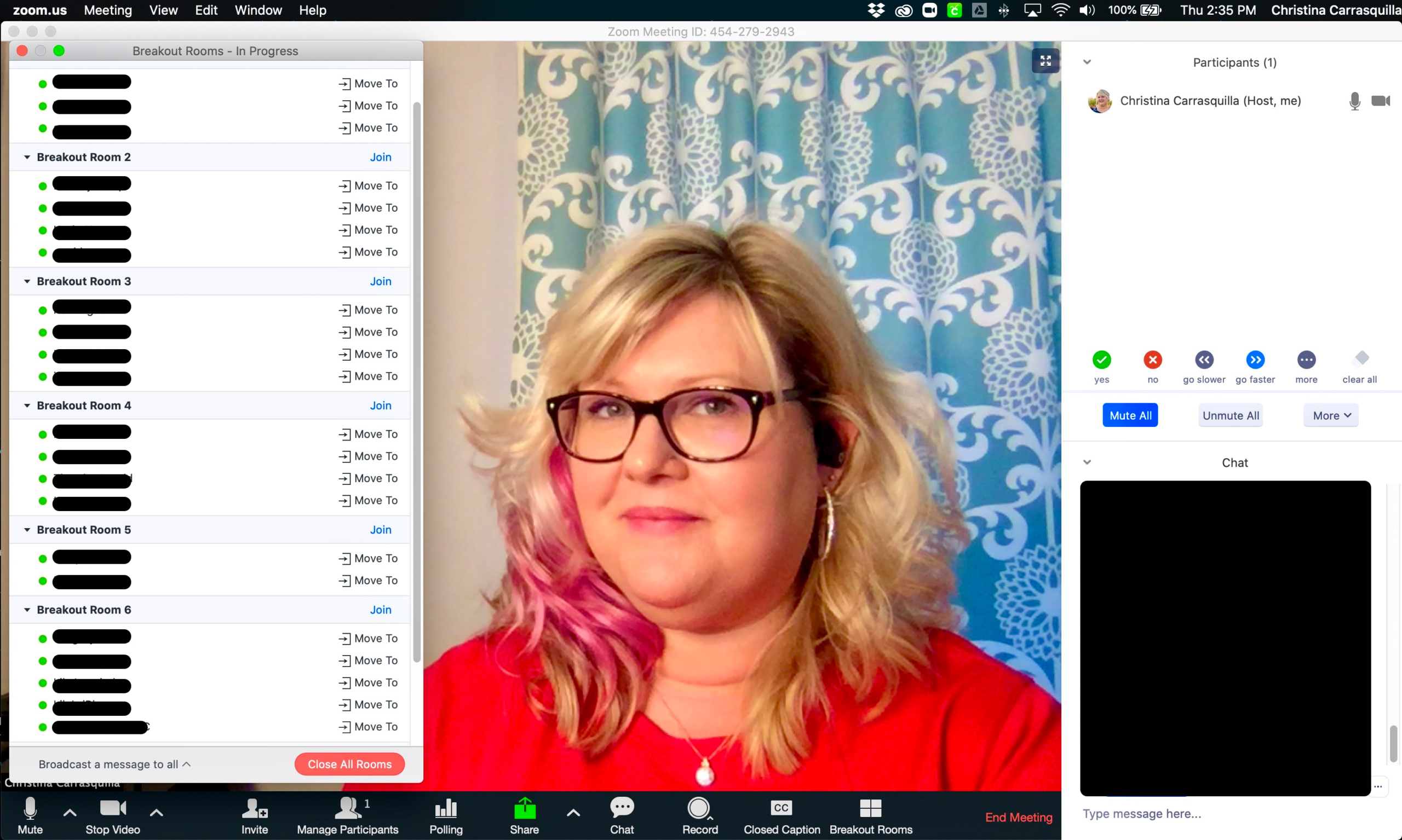 screen capture of an online class