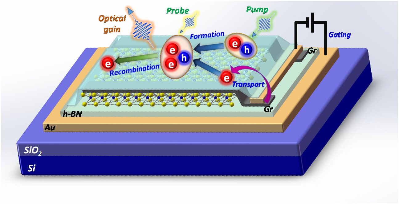 The process Cun-Zheng Ning and his team used to create nanolasers with 2D semiconductor materials.