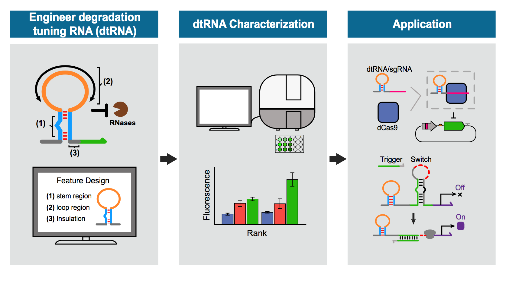 illustration shows the engineering of degradation tuning RNAs from Xiao Wang