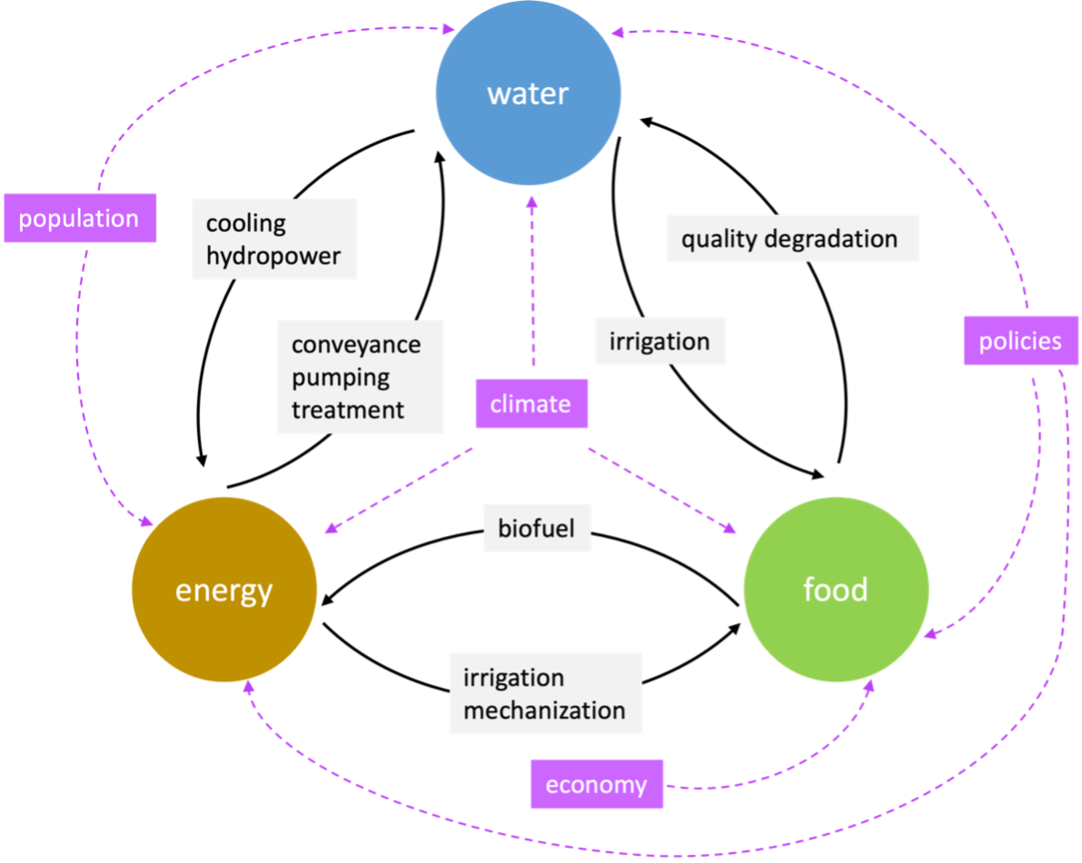 A diagram of the food-energy-water nexus and how climate, population, the economy and policies affect it.