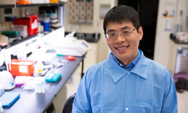 How to entertain a gene circuit without exhausting its host