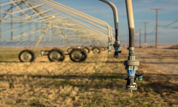 Monitoring the impacts of Arizona’s drought