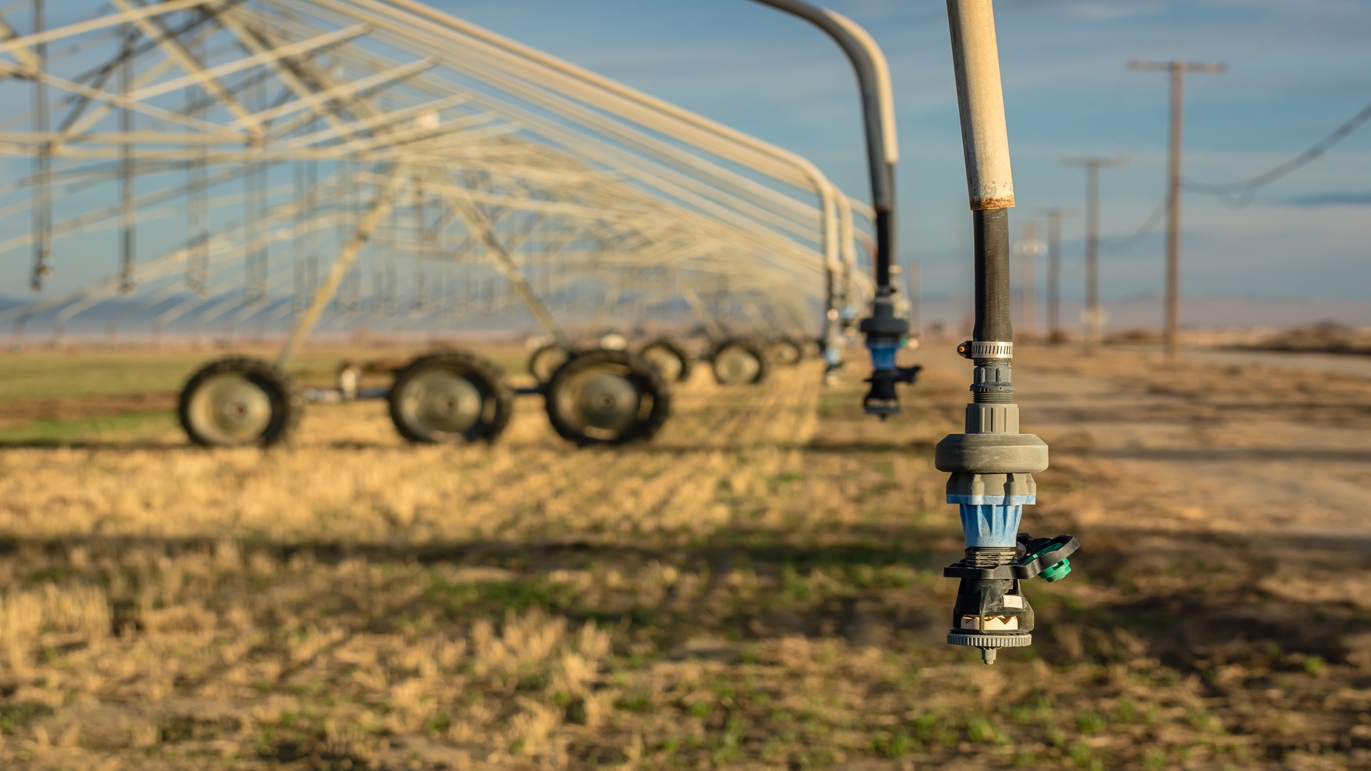 irrigation in a field