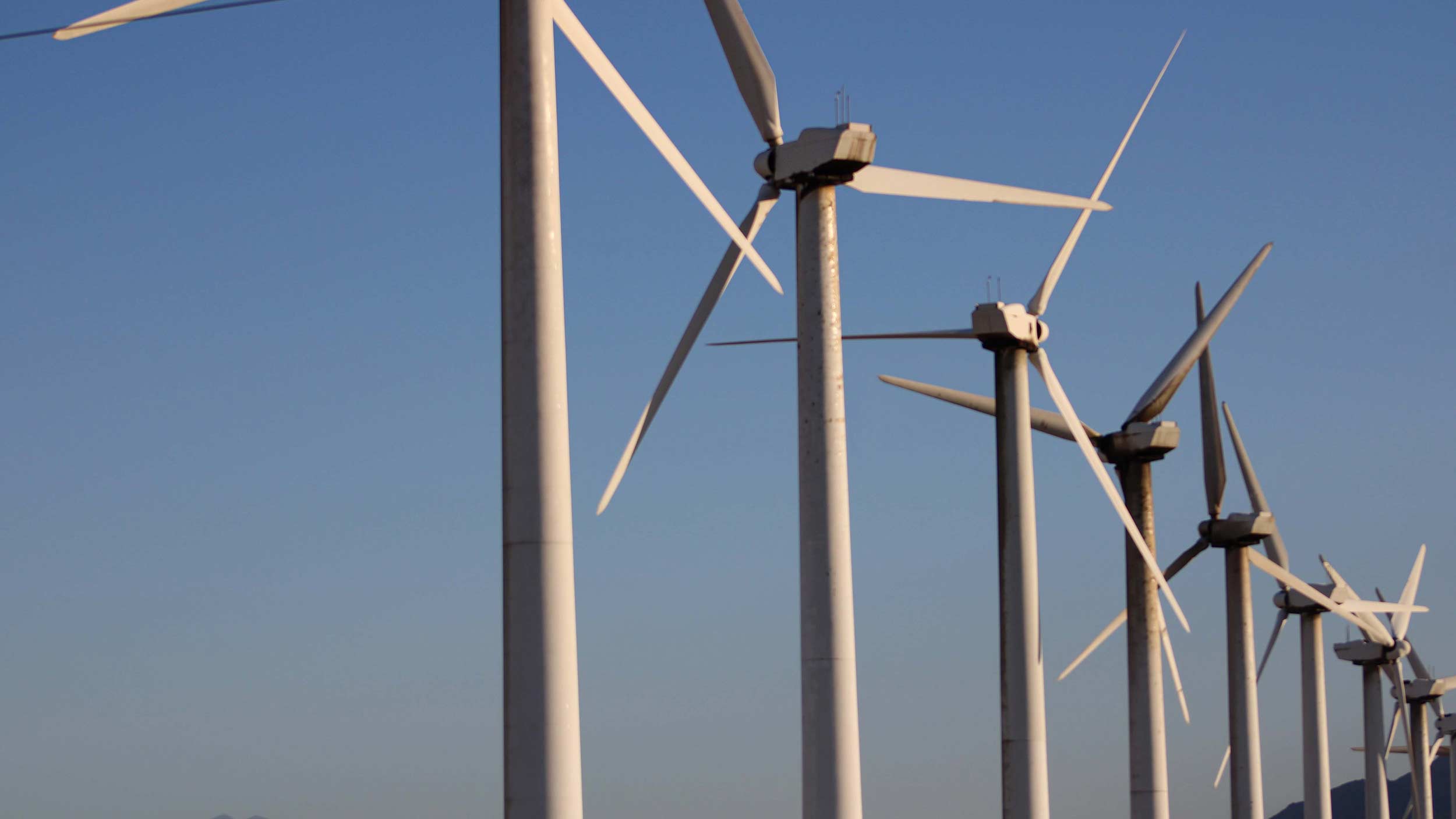 row of wind turbines