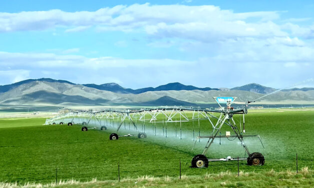 Tracking water’s footprint in agriculture