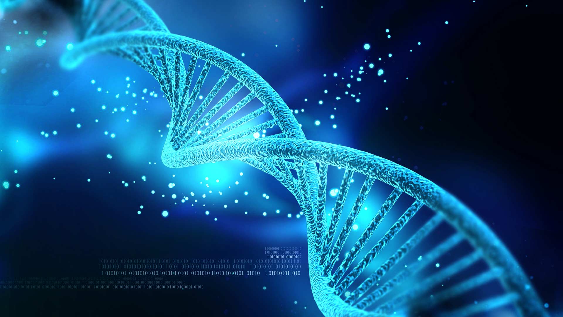 graphic showing a strand of DNA