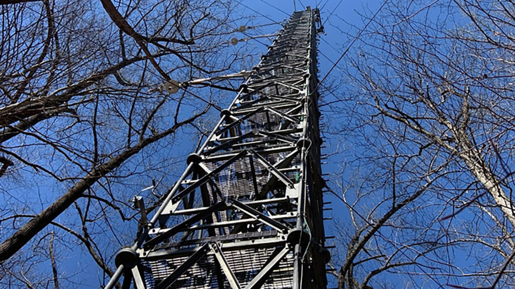 a tower in the trees